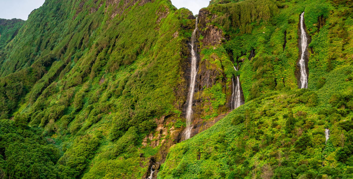 SubRegião: Flores - Imagem de Destaque, Região: Açores, Pais: portugal